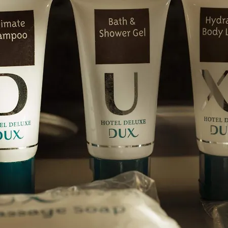 Hotel Dux